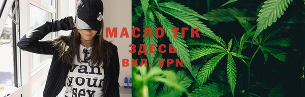 тгк Бородино