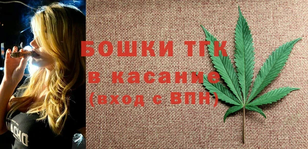 тгк Бородино