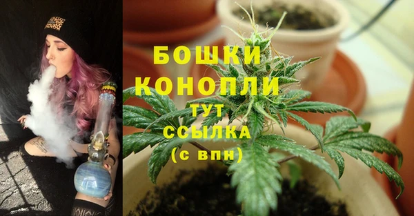 тгк Бородино