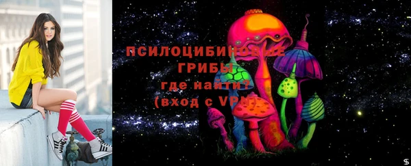 марки lsd Бугульма